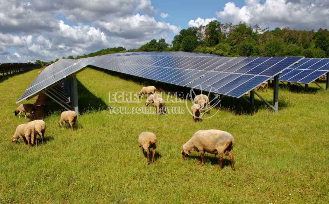 Η Στρατηγική Συνεργασία μεταξύ της Egret Solar New Energy Technology και της Smart Concept Energy